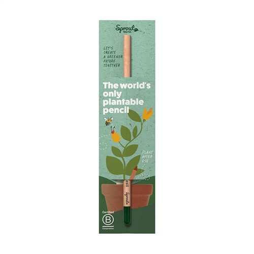 Sproutworld Unsharpened Pencil crayon non taillé - 6
