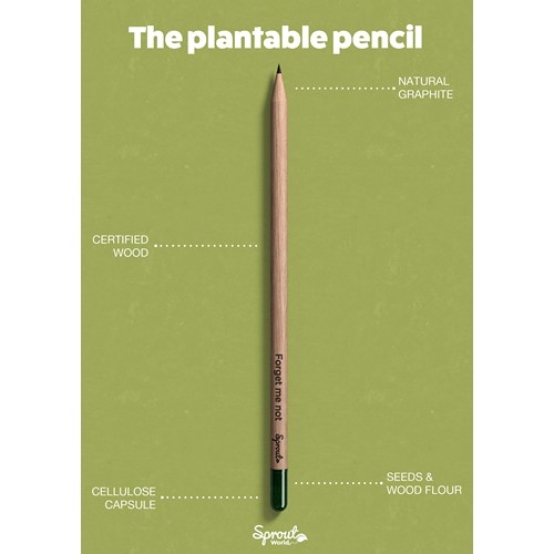 Sproutworld Unsharpened Pencil & Header Card crayon non taillé - 17