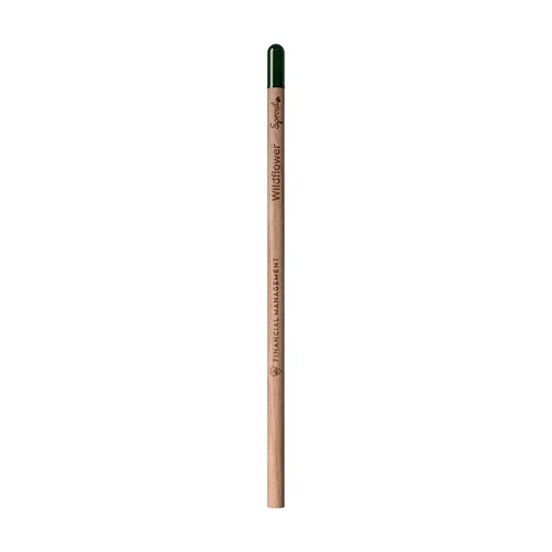Sproutworld Unsharpened Pencil & Header Card crayon non taillé - 11
