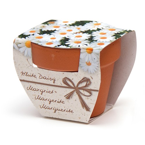 KIT DE CULTIVO – MACETA DE TERRACOTA 5 CM (PERSONALIZADO)