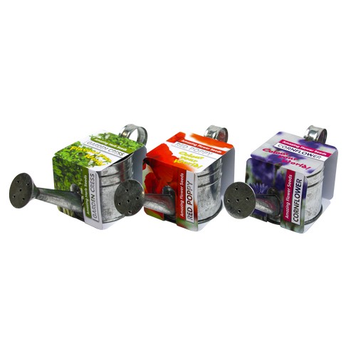 Growing kit - Zinc watering can (personalised)