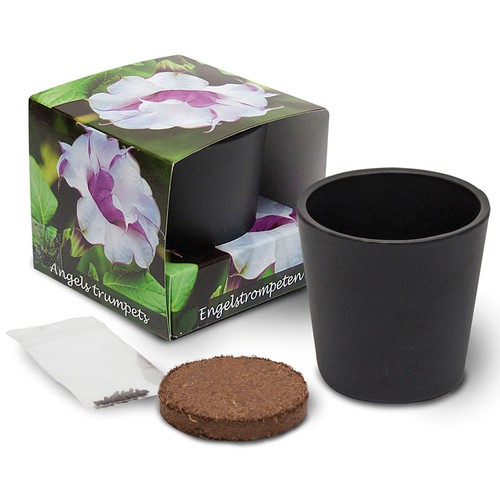 Growing kit - Ceramic pot (personalised) Growing kit - Ceramic pot (personalised)