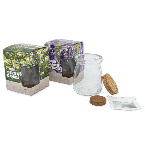 Growing kit - Glass pot in a box (personalized) Growing kit - Glass pot in a box (personalized)