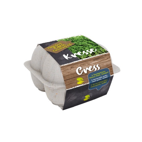 KIT DE CULTIVO – CARTÓN DE HUEVOS (PERSONALIZADO)