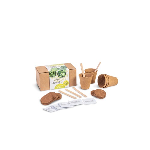 KIT DE CULTIVO – CAJA “HAZLO TÚ MISMO” (PERSONALIZADO)