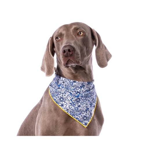PET'S FOULARD