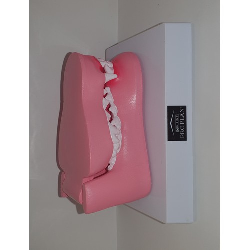 CANINE MOUTH 3D ANATOMIC MODEL