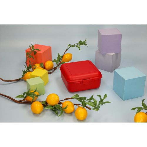 Boîte à déjeuner "Cube" de luxe avec une coupe de séparation - 7