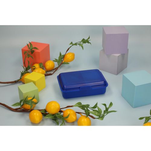 Boîte à déjeuner „School Box“ moyenne avec cloison, réutilis - 7