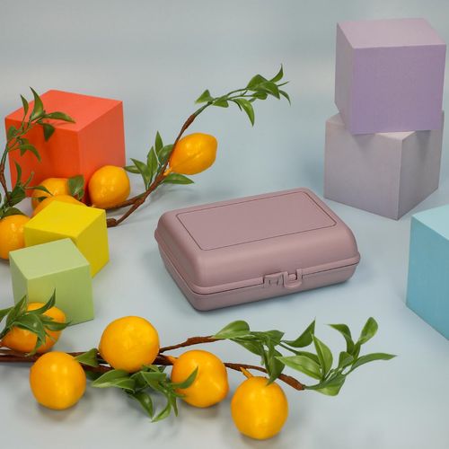 Boîte à déjeuner BIO "Switch", réutilisable - 7