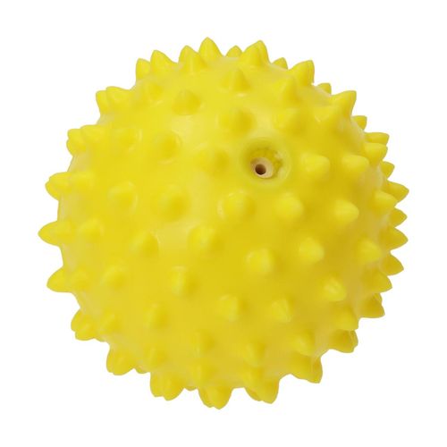 Wellness-Ball "Igel"