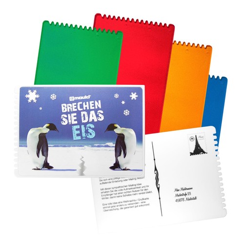 Raclette à glace "Rectangle" - 2