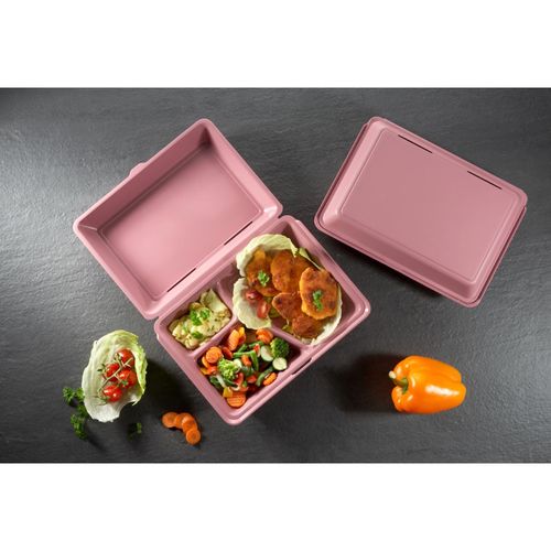 Lunchbox "ToGo" XL, 3 sections - 4