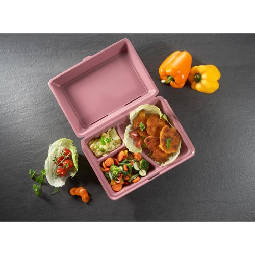 Lunchbox "ToGo" XL, 3 sections - 6