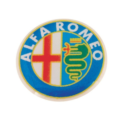 DECORACIÓN PARA COCHE