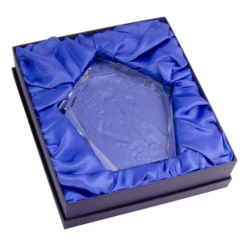 TROPHÉE CRISTAL K9 - 180 MM thumbnail 4