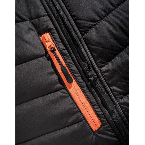 Black Compass Padded Softshell - 6