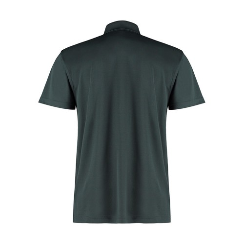 Regular Fit Cooltex® Plus Micro Mesh Polo thumbnail 5