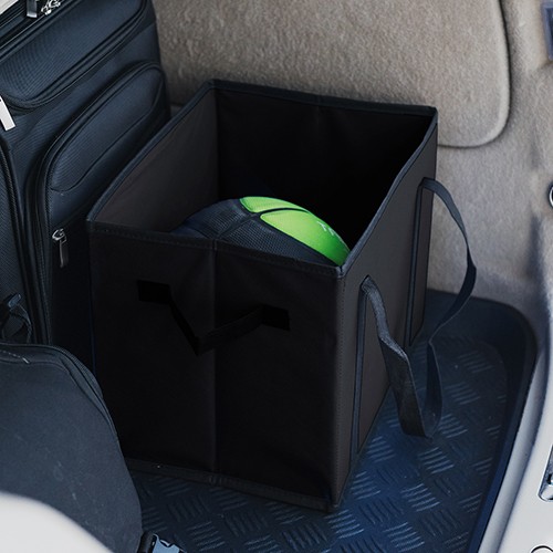 Angitola thumbnail 4