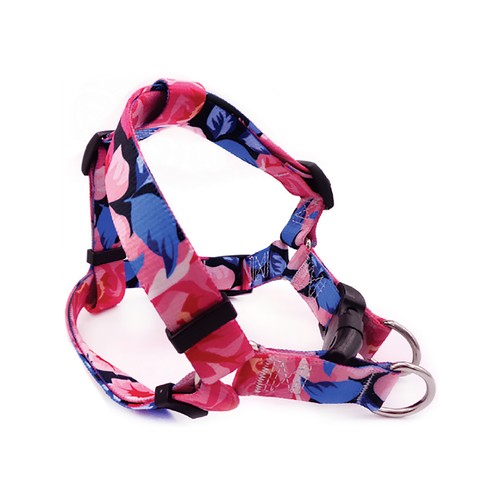 Harnais pour chien en polyester Veturio, Bespoke, MoOodMaker, Lausanne