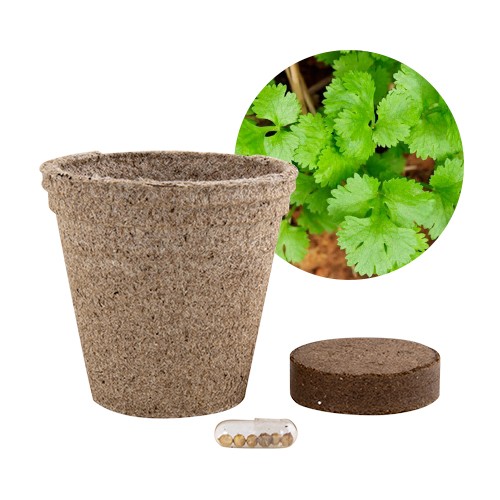 TARRO CON TIERRA Y SEMILLAS PAPRICA