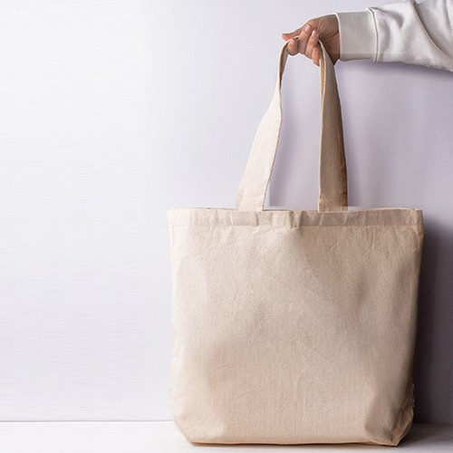 Bovolenta thumbnail 5