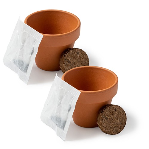 TARRO DE SEMILLAS VALLADA