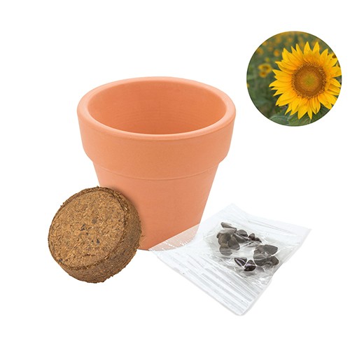 MACETA EN TERRACOTA CON SEMILLAS CRESPADORO