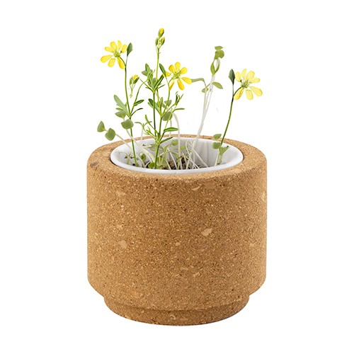 Massachusetts thumbnail 5