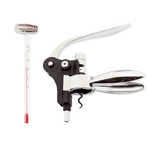 Winston-Salem thumbnail 4