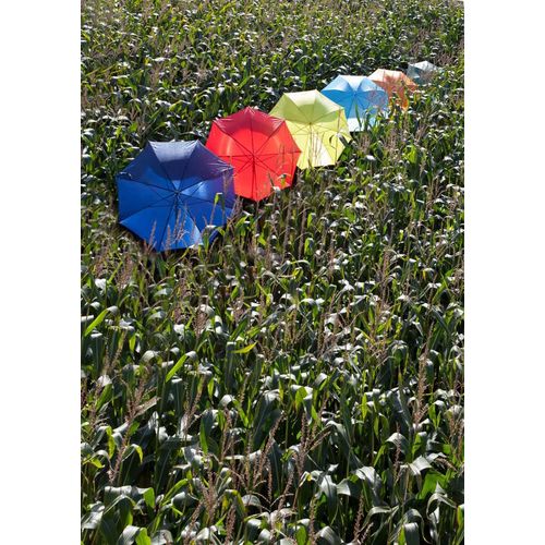 Parapluie golf automatique Andy - 6