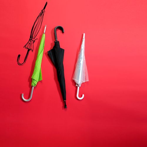 Parapluie golf Charles Dickens® Annabella - 5