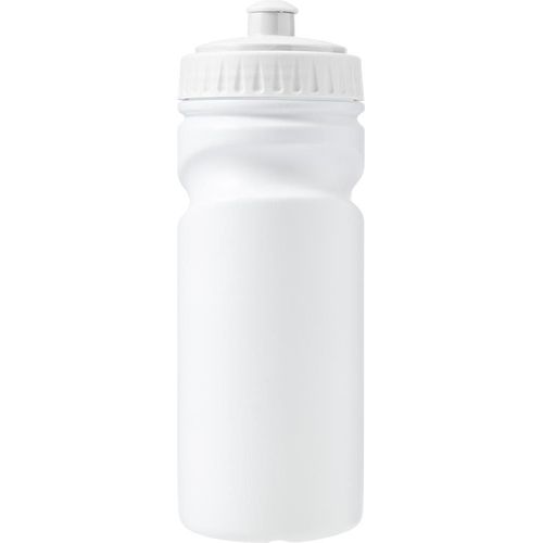 Gourde de 500 ml en plastique recyclé Demi - 1