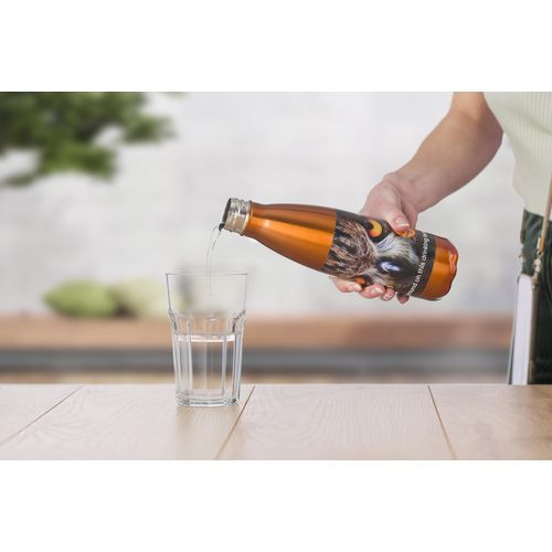 Gourde simple paroi de 650 ml en acier inoxydable Sumatra - 21