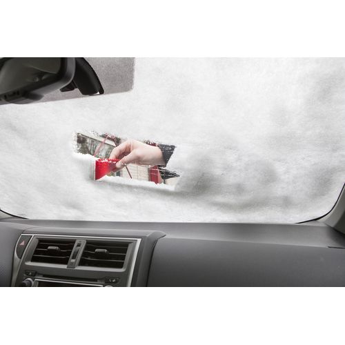 Gratte-neige Amaryllis - 6