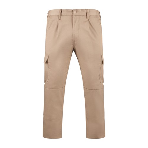camel DAILY