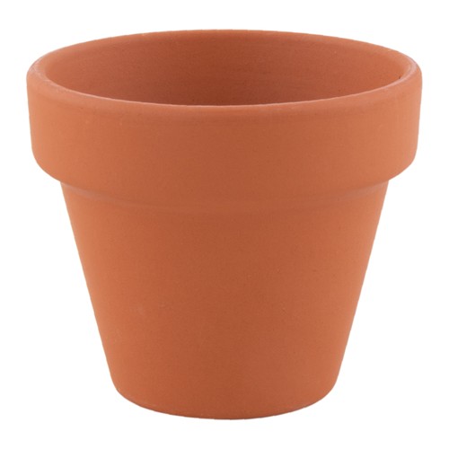 POT PLANTE BASIL - 5
