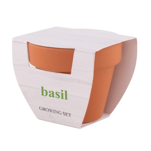 POT PLANTE BASIL - 2