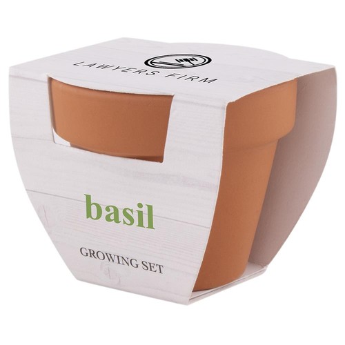 POT PLANTE BASIL - 4