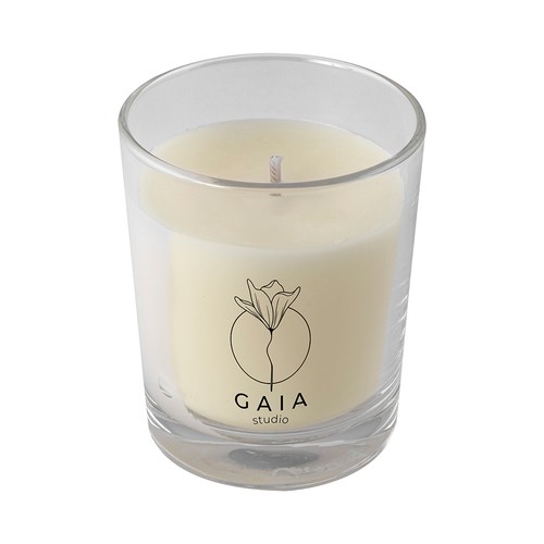 CANDLE PLANSE CANDLE PLANSE