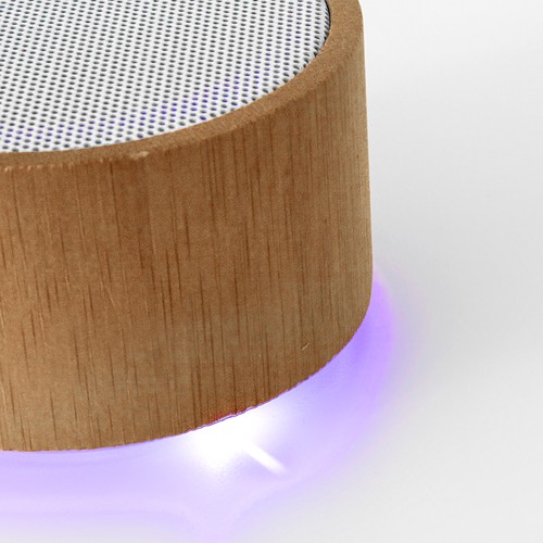 HAUT-PARLEUR MAINE - 4