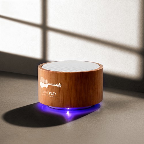 HAUT-PARLEUR MAINE - 1