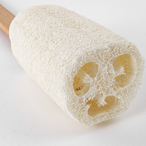 ÉPONGE LOOFAH - 6