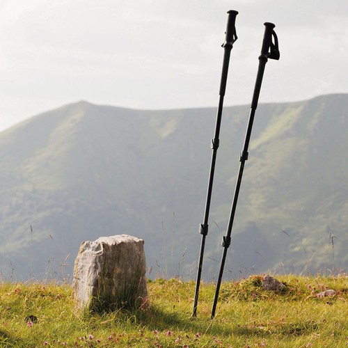 WALKING MILFORD STICKS