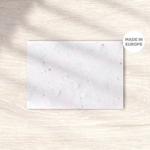 CARTE 15X10 CM GERMINA 200G 1 FACE 100% FSC - 2