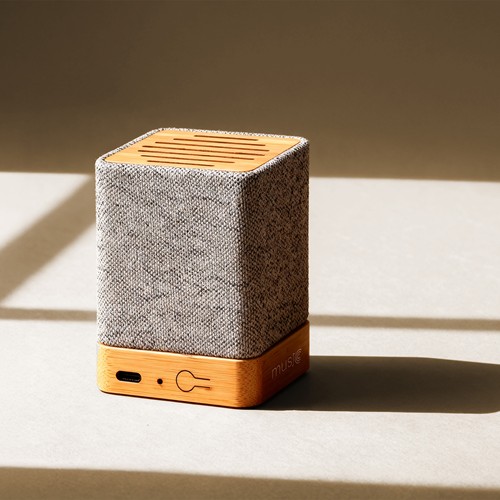 HAUT-PARLEUR IVY - 1