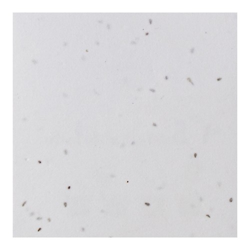 SOUS-VERRE GERMINA 140G 1 FACE 100% FSC - 5