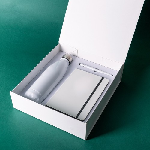 ENSEMBLE GERDA - 2