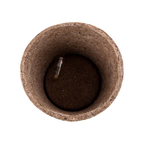 POT PLANTE CERES - 5