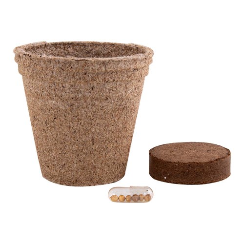 POT PLANTE CERES - 2